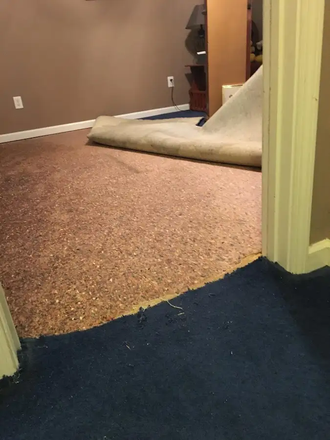 Carpet pad removal revealing water damage during Drying & Dehumidification in Rogersville