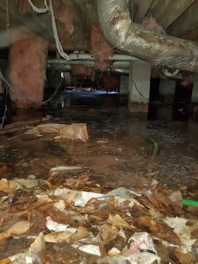 Crawl space flood assessment for Leak Detection & Repair in Rogersville
