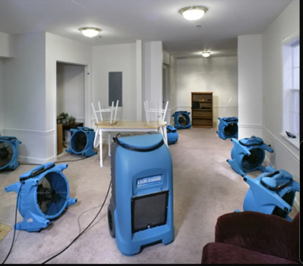 Air movers and dehumidifier setup for Water Extraction & Removal in Rogersville