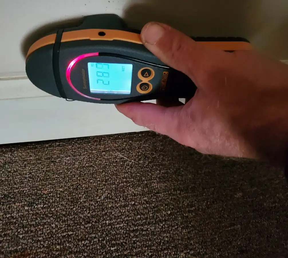 Moisture detection at baseboard during Mold Inspection & Testing in Rogersville